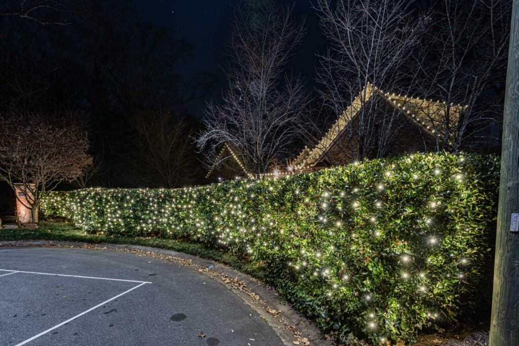 Suwanee Christmas light installer project